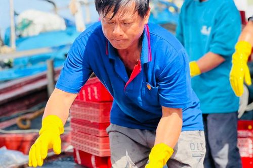 Quảng Ngãi: Chủ tàu cá vất vả tìm lao động để ra khơi
