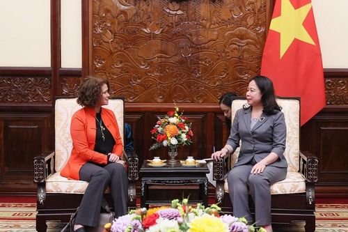Quyền Chủ tịch nước Võ Thị Ánh Xuân tiếp Giám đốc Quốc gia WB đến chào từ biệt