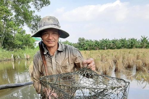 Chậm thích ứng biến đổi khí hậu: Hậu quả nặng nề - Bài 3: Rà soát, điều chỉnh quy hoạch sản xuất