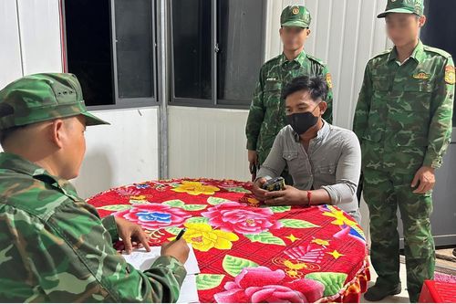 Bắt giữ đối tượng vận chuyển gia súc trái phép qua biên giới