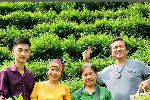 Chàng trai Tày mê làm chè sạch