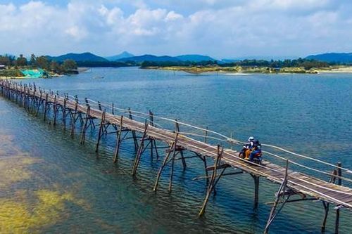 Khám phá cầu gỗ Ông Cọp ở xứ 'hoa vàng cỏ xanh'
