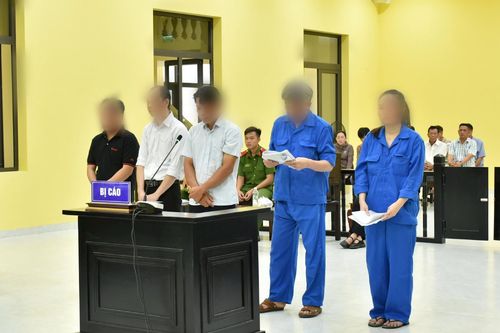 Nguyên Giám đốc Vườn quốc gia Mũi Cà Mau lĩnh án tù