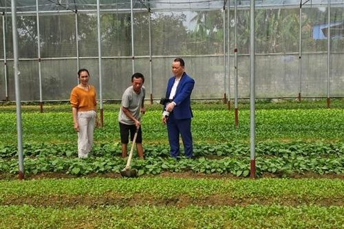 Thực hiện có hiệu quả các dự án Chương trình mục tiêu quốc gia cho người dân