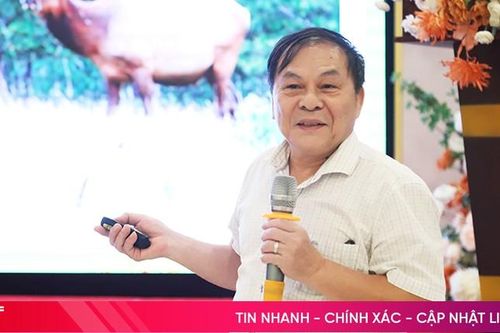 Tìm giải pháp khai thác, quảng bá nhung hươu Hương Sơn