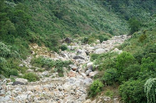 Nghiên cứu bảo vệ dòng suối Lương trên đèo Hải Vân