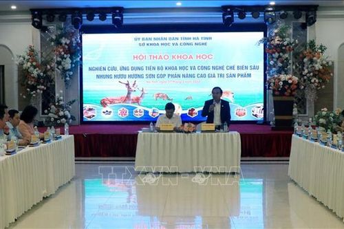 Nhung hươu Hương Sơn tiềm năng lớn nâng tầm giá trị