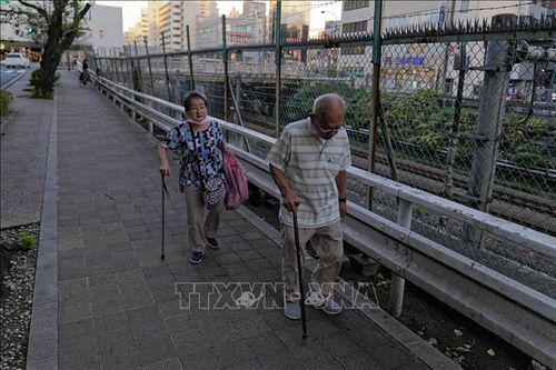 Công ty Nhật Bản chuyển từ sản xuất tã lót trẻ em sang bỉm người lớn