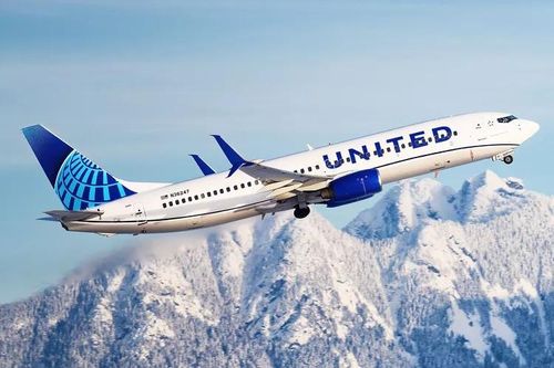 Máy bay của United Airlines phải quay đầu vì va vào chim