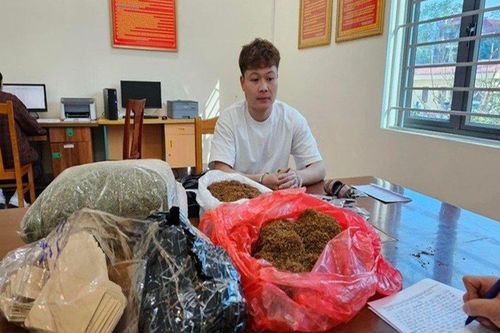 Khởi tố nam thanh niên bán 'cỏ mỹ' cho khách