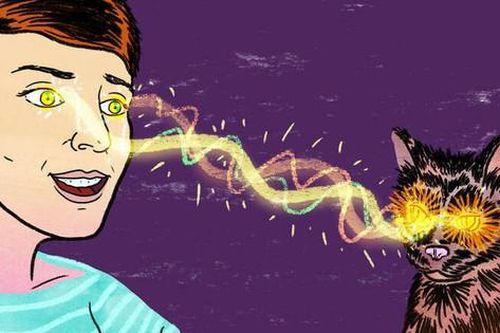 Bí ẩn: Người nuôi mèo có nguy cơ mắc bệnh tâm thần cao gấp đôi người bình thường?