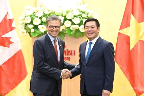 Bước phát triển mới trong hợp tác thương mại, đầu tư của doanh nghiệp Việt Nam - Canada