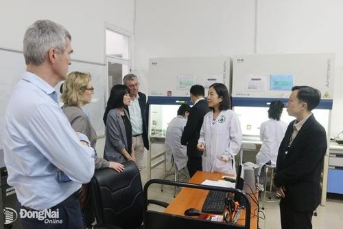 Nhân lực cho phát triển bền vững vùng Đông Nam Bộ (Bài 1)