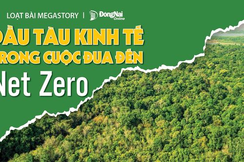 Loạt Megastory Đầu tàu kinh tế trong cuộc đua đến Net Zero: Kỳ 1: Nhận diện biến đổi khí hậu của vùng