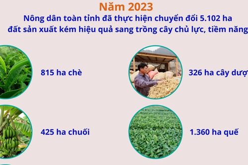 Tích cực chuyển đổi cây trồng trên đất sản xuất kém hiệu quả
