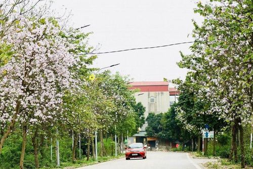 Trải nghiệm du lịch nông thôn ở Yên Mỹ