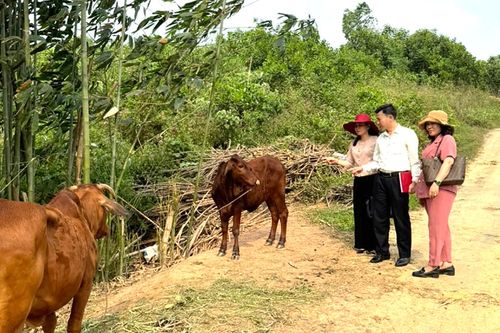 1,4 tỷ đồng hỗ trợ nông dân phát triển kinh tế trong quý I