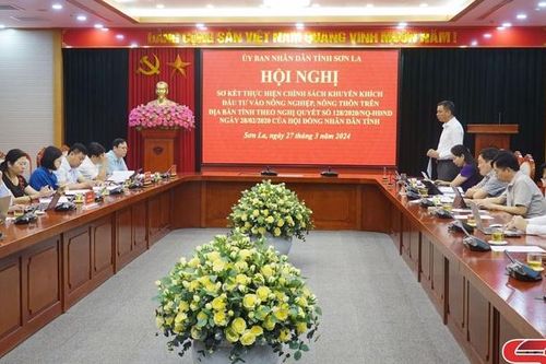 Sơ kết 4 năm thực hiện chính sách khuyến khích đầu tư vào nông nghiệp nông thôn
