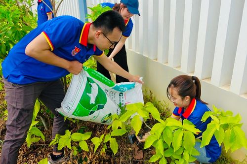 EVNGENCO3 hưởng ứng Tháng Thanh niên năm 2024