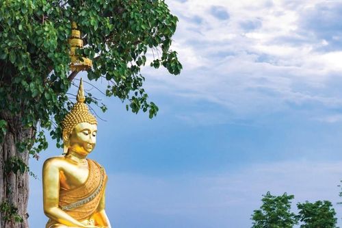 Vô sự mà lợi ích cho đạo
