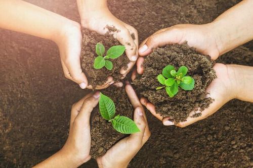 Bảo vệ môi trường – Nền tảng để phát triển kinh tế bền vững