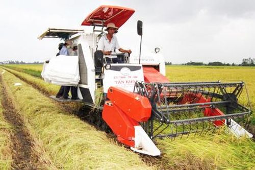 Hết thời phải 'giải cứu', nông dân Cần Thơ làm cánh đồng lớn thu hàng trăm triệu, giảm mối lo từ 'ông trời'