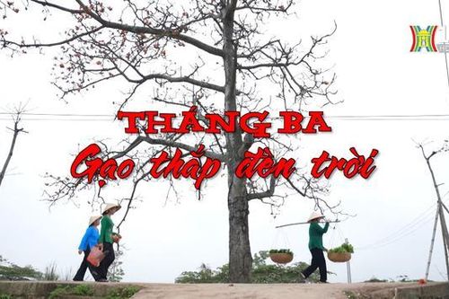 Tháng Ba, gạo thắp đèn trời | Nhịp sống Hà Nội | 27/03/2024