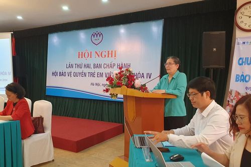 Hội nghị Ban Chấp hành Hội Bảo vệ quyền trẻ em Việt Nam lần 2, khóa IV: Kiện toàn Ban Chấp hành, Ban Thường vụ Hội