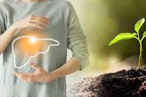 Dưỡng sinh trong tiết Xuân phân để cả năm khỏe mạnh