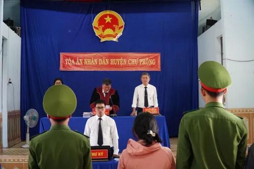 Mẹ lĩnh án vì giao xe cho con trai gây tai nạn làm bốn người tử vong