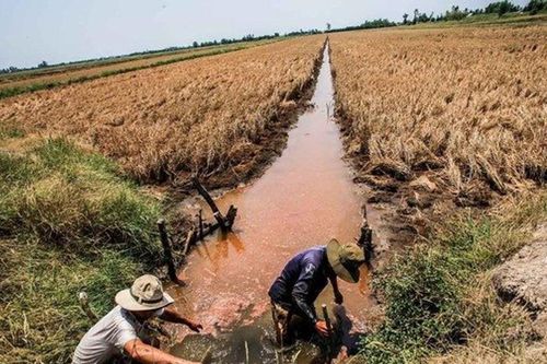 Giải cứu ô nhiễm nguồn nước
