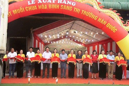 Hòa Bình xuất khẩu ớt muối chua sang Hàn Quốc