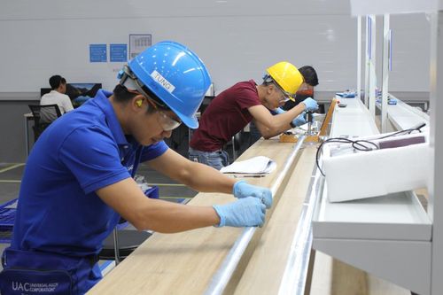 Đà Nẵng chuẩn bị gì để đón sếu đầu đàn?