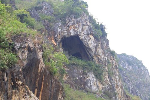 Đề nghị xử phạt Công ty TNHH Trung Việt Hưng ở Nghệ An