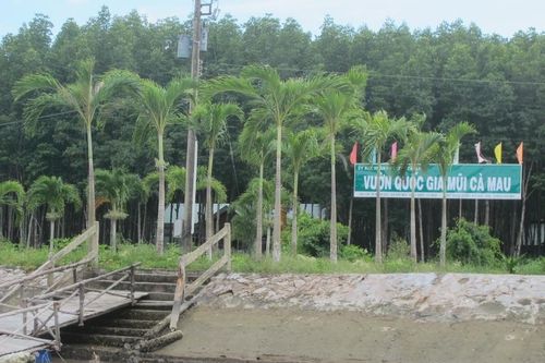 Lập quỹ trái phép và tham ô, nguyên Giám đốc Vườn Quốc gia Mũi Cà Mau lĩnh án