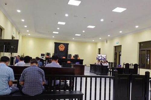 Xét xử 'thiếu gia' điện gió ở miền Tây