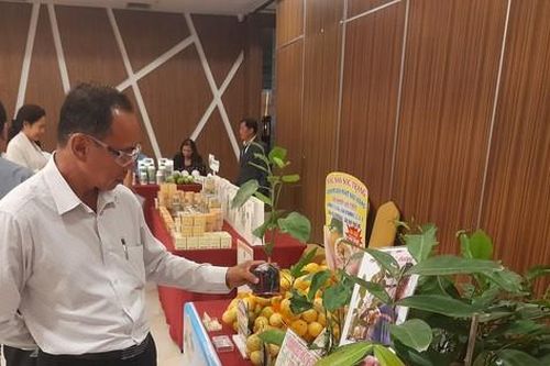 Chưa nhiều doanh nghiệp chuyển đổi xanh