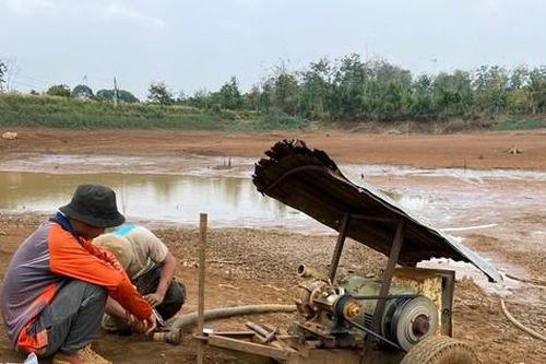Ao hồ trơ đáy, nông dân Đắk Nông vét từng giọt nước cứu cây