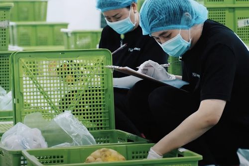 Bỏ việc văn phòng, 8X Nhật mở startup nền tảng số Việt Nam