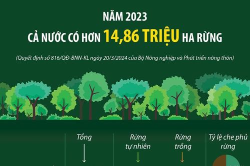Năm 2023: Cả nước có hơn 14,86 triệu ha rừng