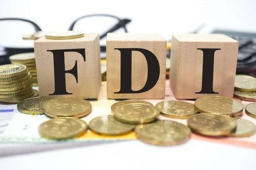 Điệp khúc 'thực' và 'ảo' trong thu hút vốn FDI