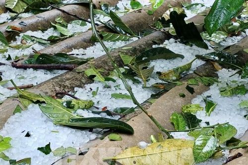 Yên Bái: Xuất hiện cơn mưa đá kèm theo dông lốc