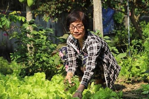 An Nhơn (Bình Định): Nhà sạch, vườn xanh từ mô hình ủ phân hữu cơ tại nhà hội viên phụ nữ