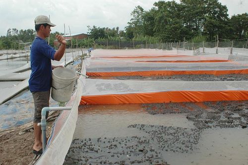 Công tác dân vận thúc đẩy phát triển kinh tế - xã hội tại địa phương