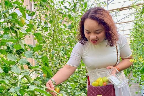 Nông nghiệp kết hợp du lịch trải nghiệm: Nhiều dư địa