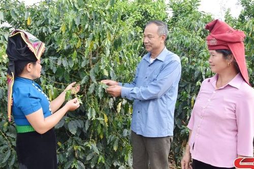 Nông dân sản xuất, kinh doanh giỏi
