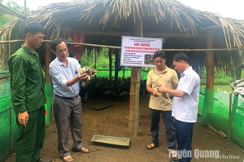Gần 11 nghìn tỷ đồng được huy động xây dựng nông thôn mới