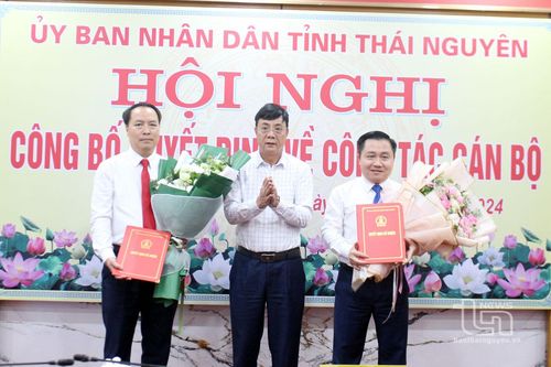 Điều động, bổ nhiệm Phó Chánh Văn phòng UBND tỉnh và Phó Giám đốc Sở Nội vụ