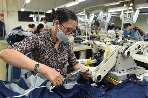 Những hành vi bị nghiêm cấm trong lĩnh vực việc làm