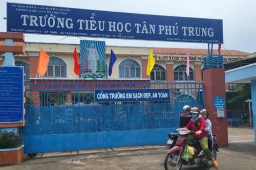 TP Hồ Chí Minh: Kỷ luật hiệu trưởng và kế toán một trường Tiểu học